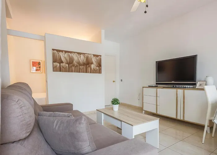 Un Respiro En Playa Victoria 1 Hab Y Salon Con Sofa Cama Апартаменты *